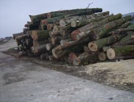 Transport von Stammholz (Brennholz)